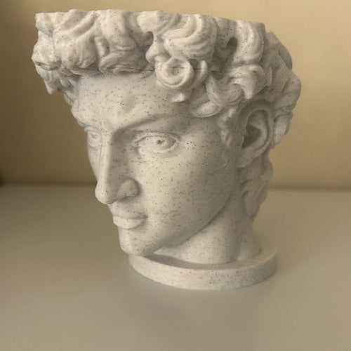 David by Michelangelo Vase
