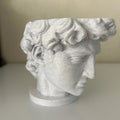 David by Michelangelo Vase