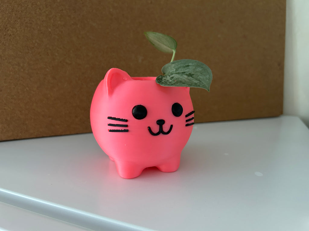 Cute Cat Planter