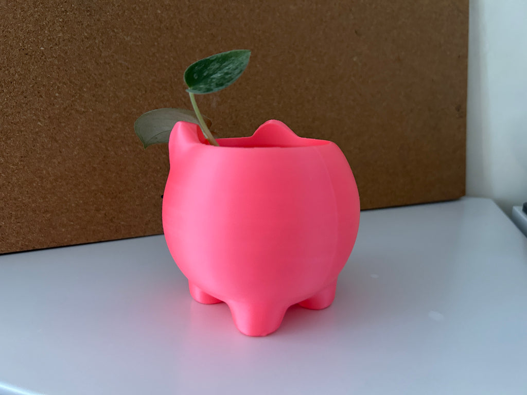 Cute Cat Planter