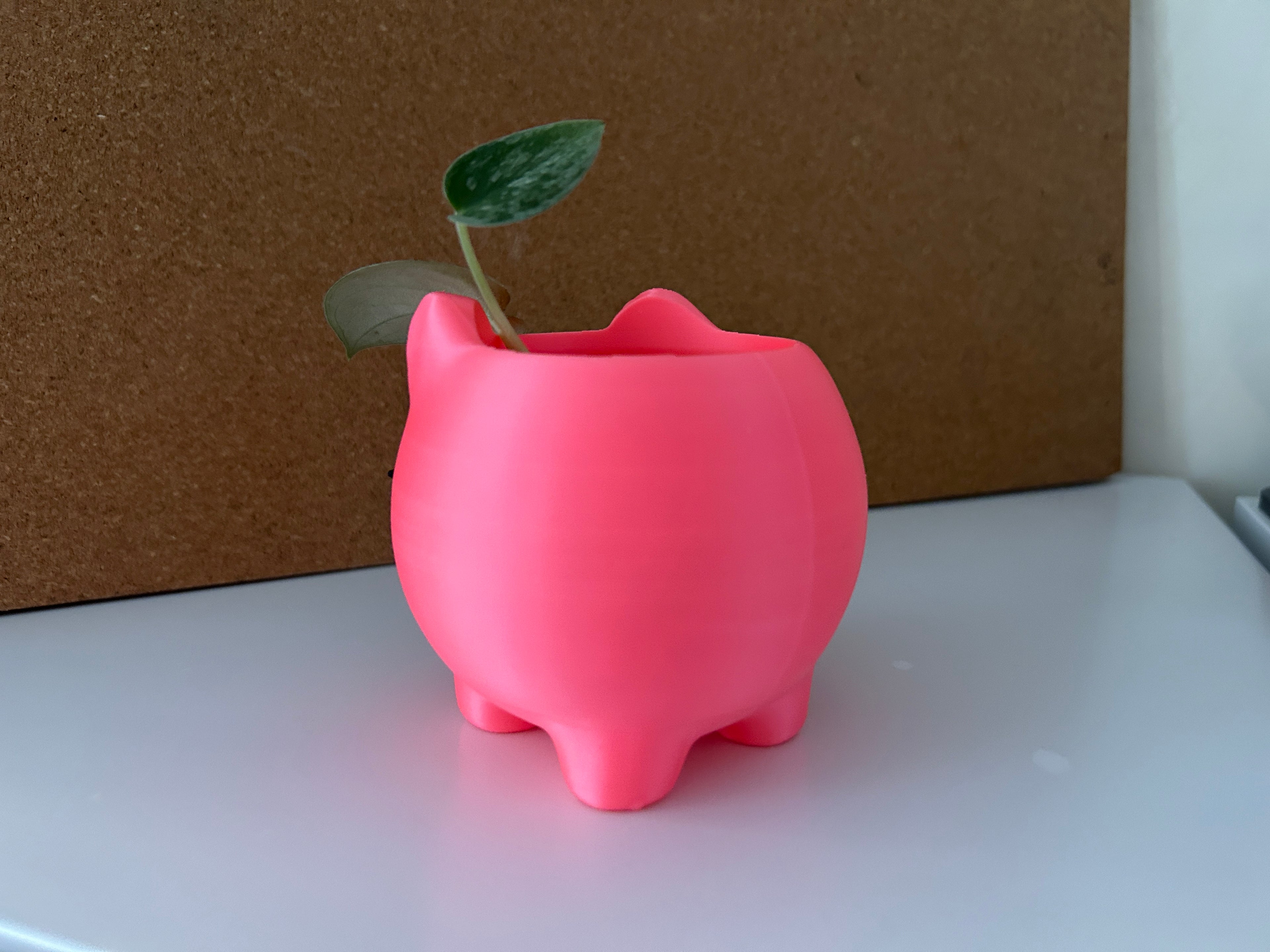 Cute Cat Planter