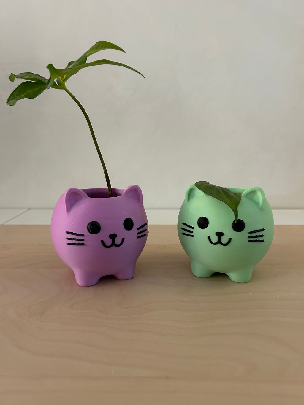 Cute Cat Planter