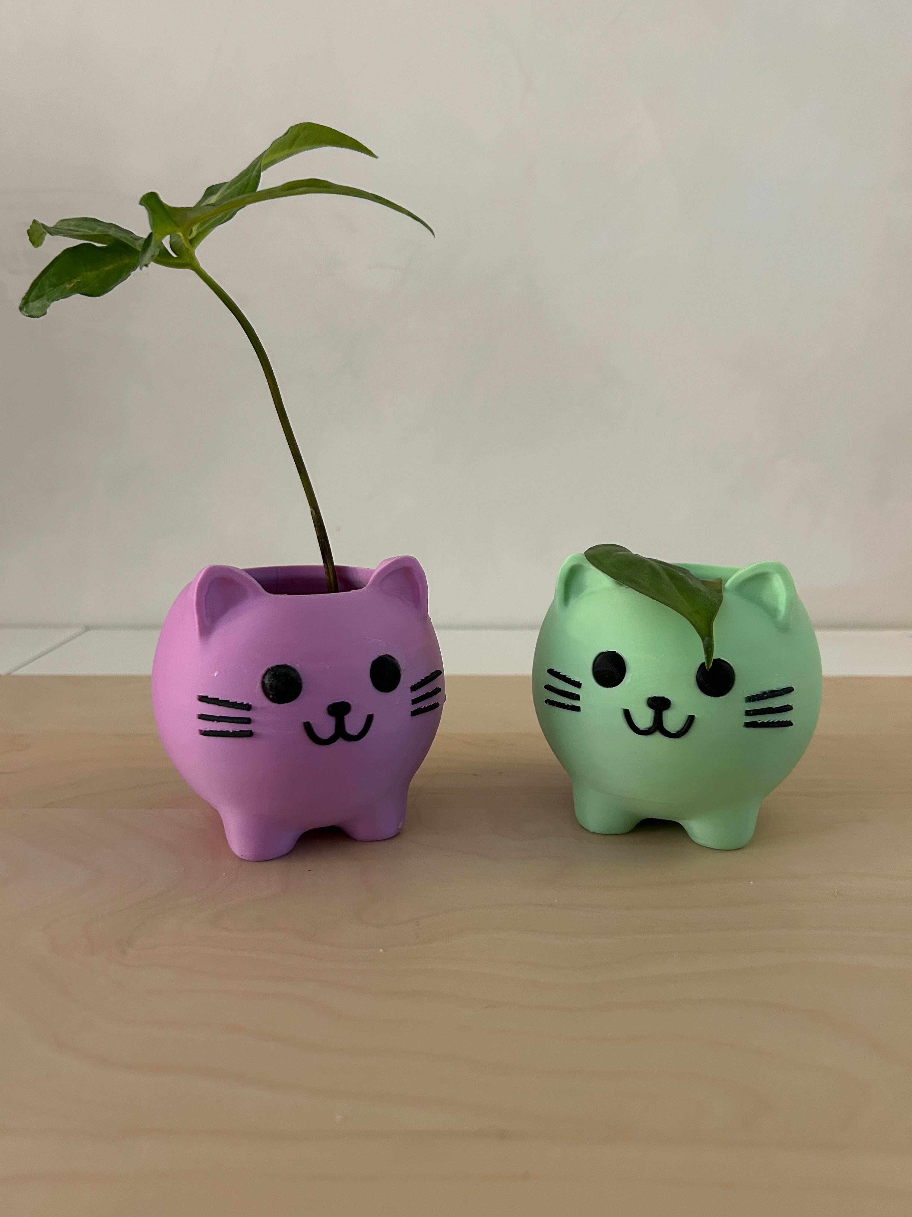 Cute Cat Planter