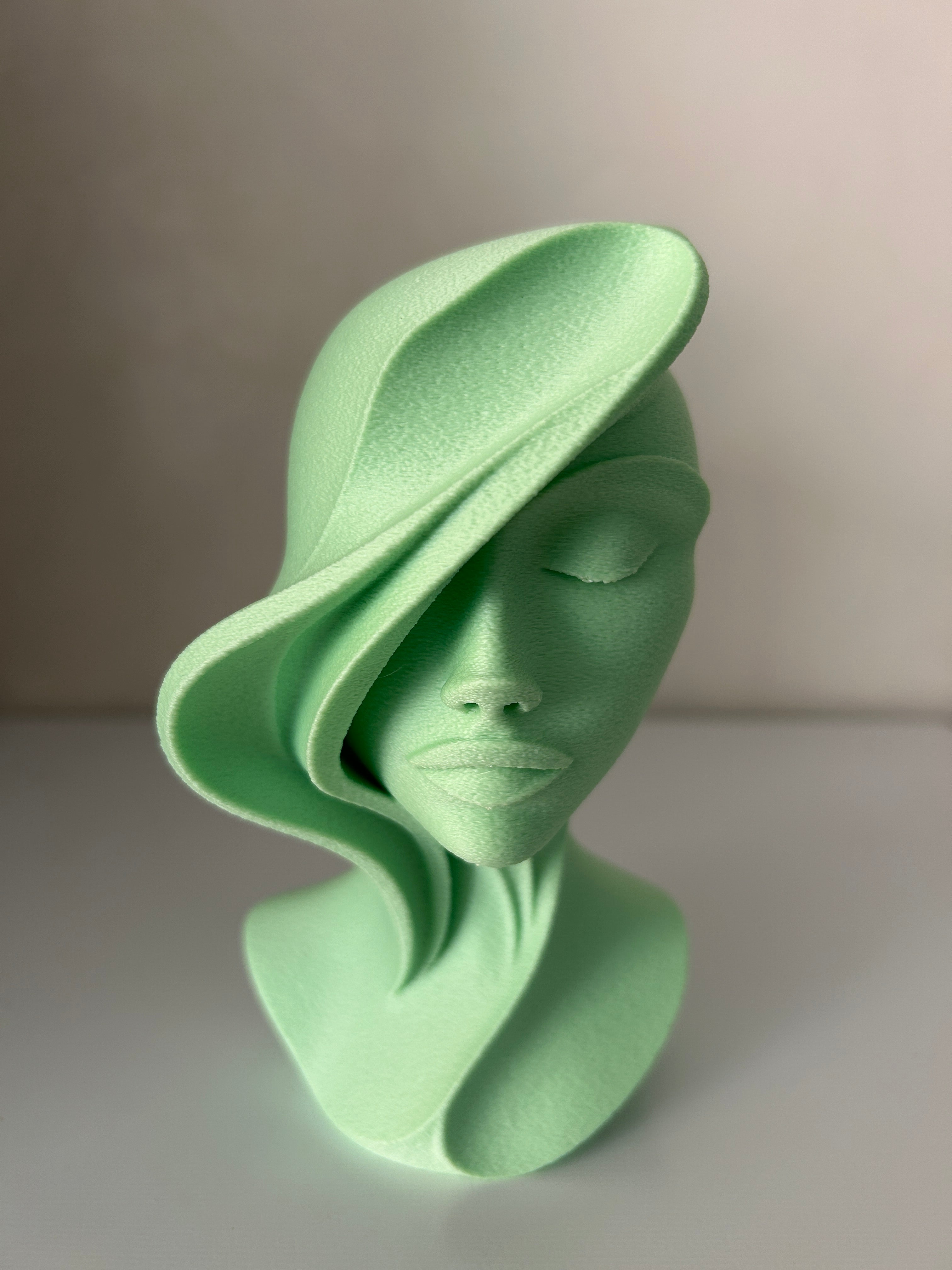 Abstract Woman Face Sculpture