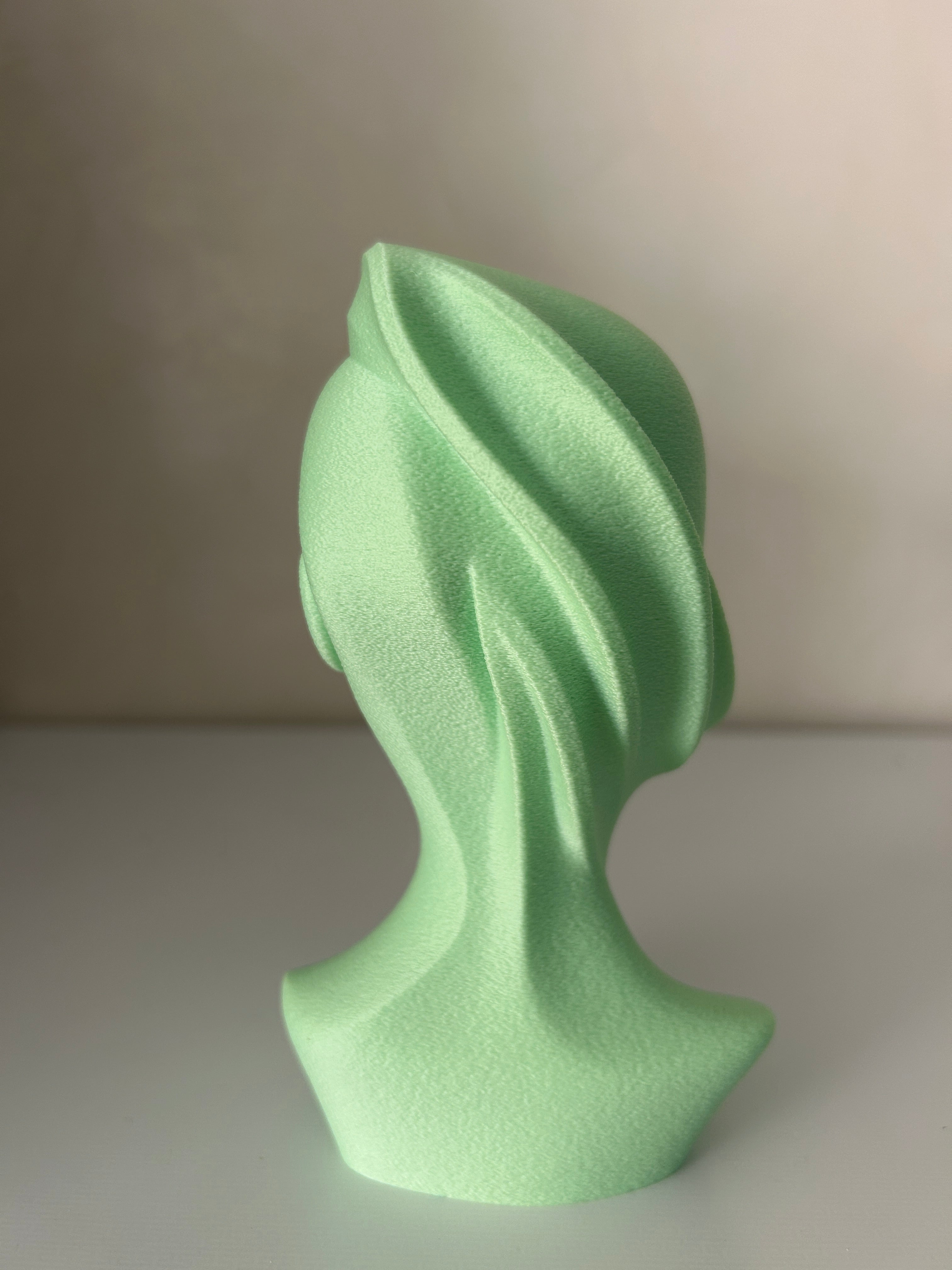 Abstract Woman Face Sculpture