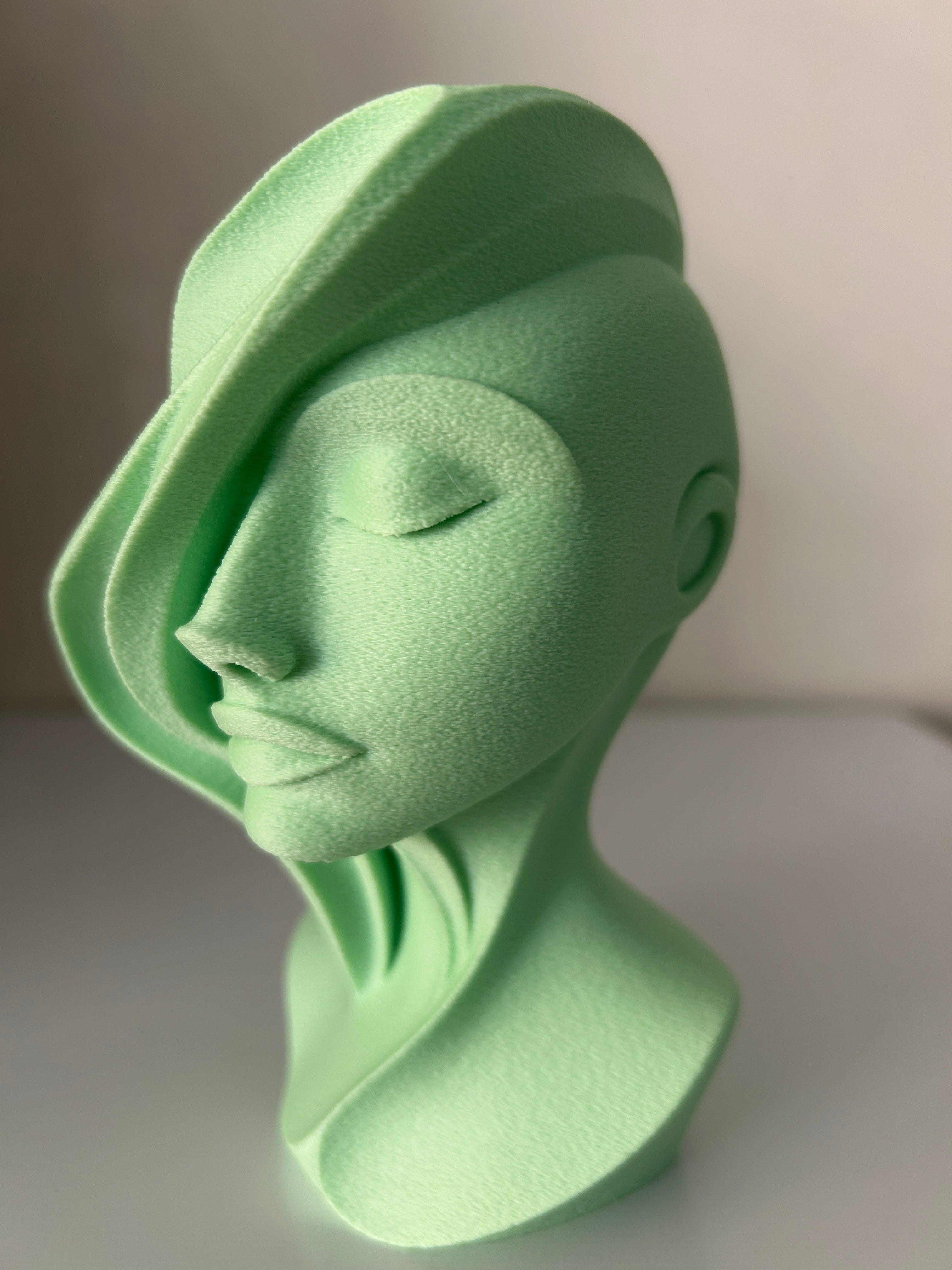 Abstract Woman Face Sculpture